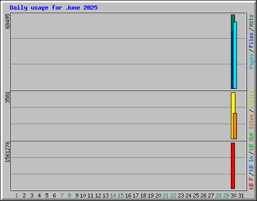 Daily usage for June 2025