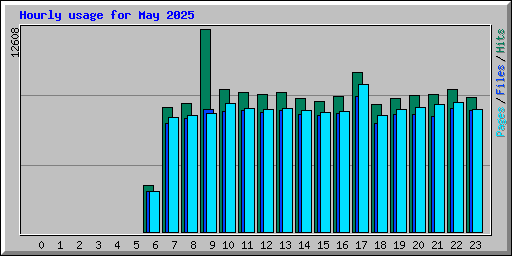 Hourly usage for May 2025