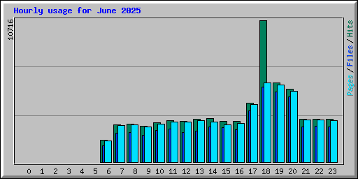 Hourly usage for June 2025