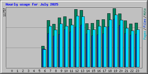 Hourly usage for July 2025