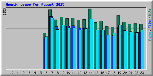 Hourly usage for August 2025