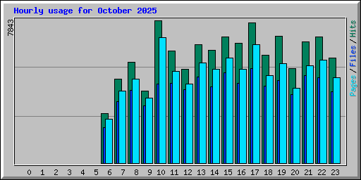 Hourly usage for October 2025