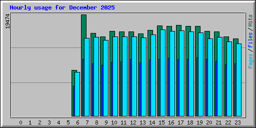 Hourly usage for December 2025