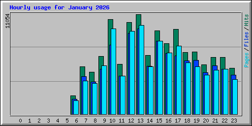 Hourly usage for January 2026