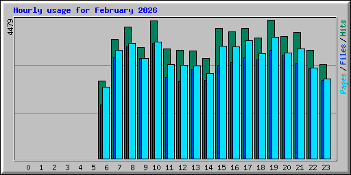 Hourly usage for February 2026